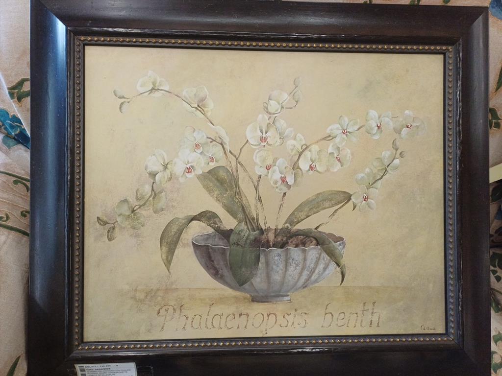 QUADRO CON ORCHIDEA CON CORNICE IN LEGNO  SCURO CON BORCHIETTE FABRICE DE VILLENEUVE